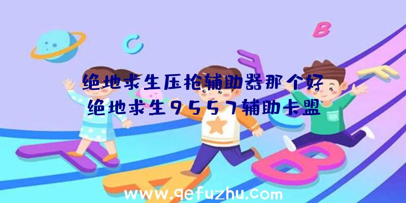 「绝地求生压枪辅助器那个好」|绝地求生9557辅助卡盟